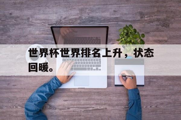 开云电子-世界杯世界排名上升，状态回暖。