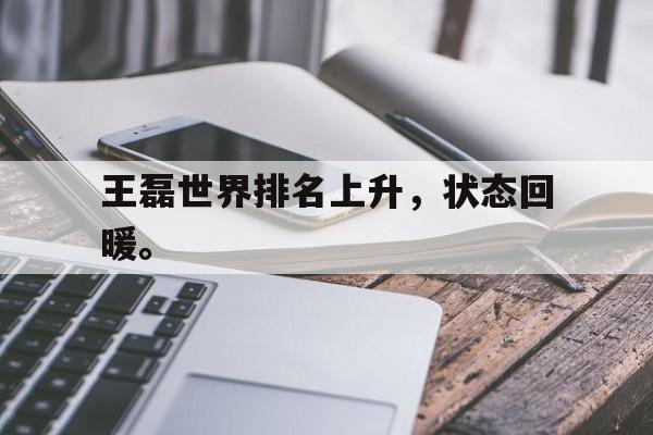 开云官方网站-王磊世界排名上升，状态回暖。