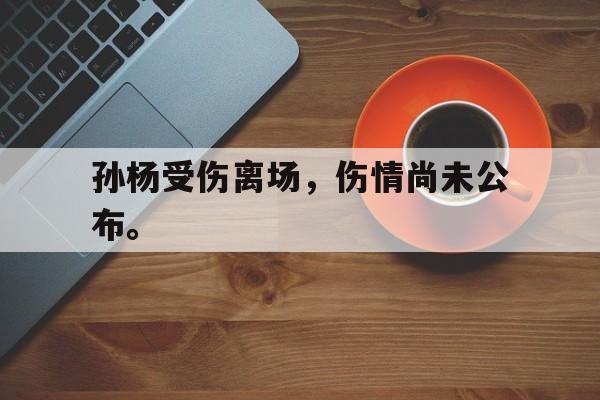 开云官方网站-孙杨受伤离场，伤情尚未公布。