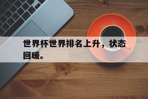 开云官方网站-世界杯世界排名上升，状态回暖。