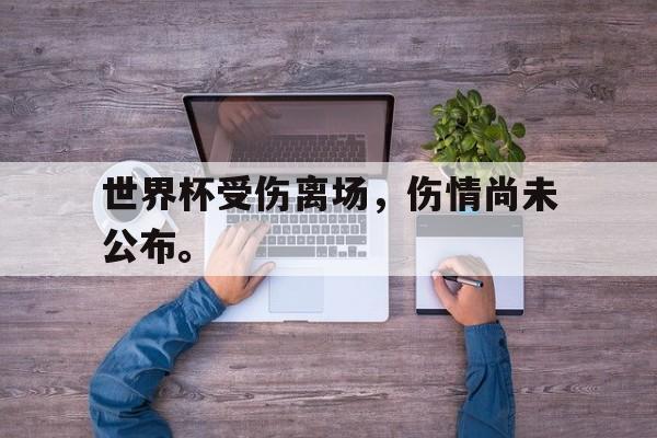 开云电子-世界杯受伤离场，伤情尚未公布。