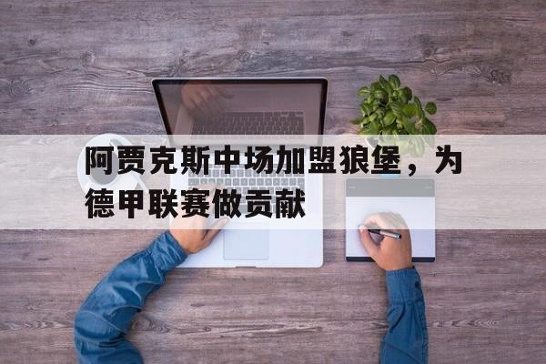 开云登录入口-阿贾克斯中场加盟狼堡，为德甲联赛做贡献
